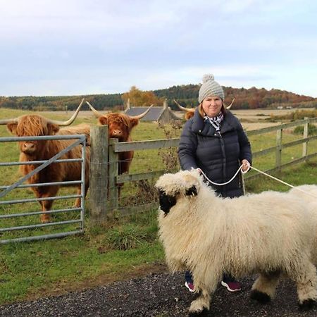Villa Glampods Glamping Pod - Meet Highland Cows And Sheep Elgin Esterno foto
