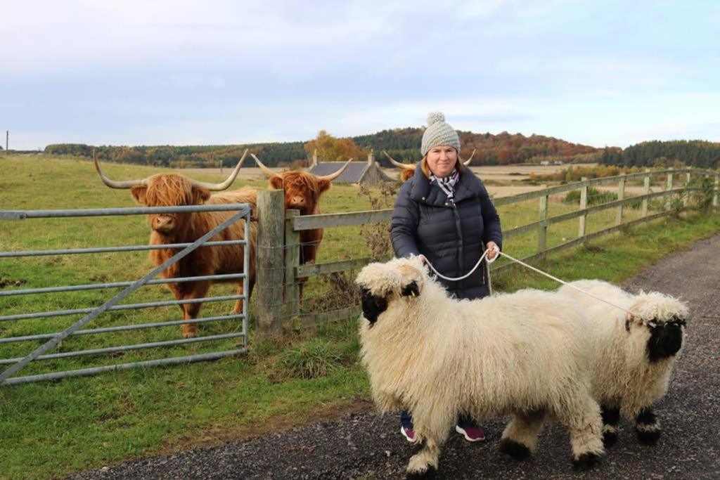 Glampods Glamping Pod - Meet Highland Cows And Sheep Elgin Villa Esterno foto