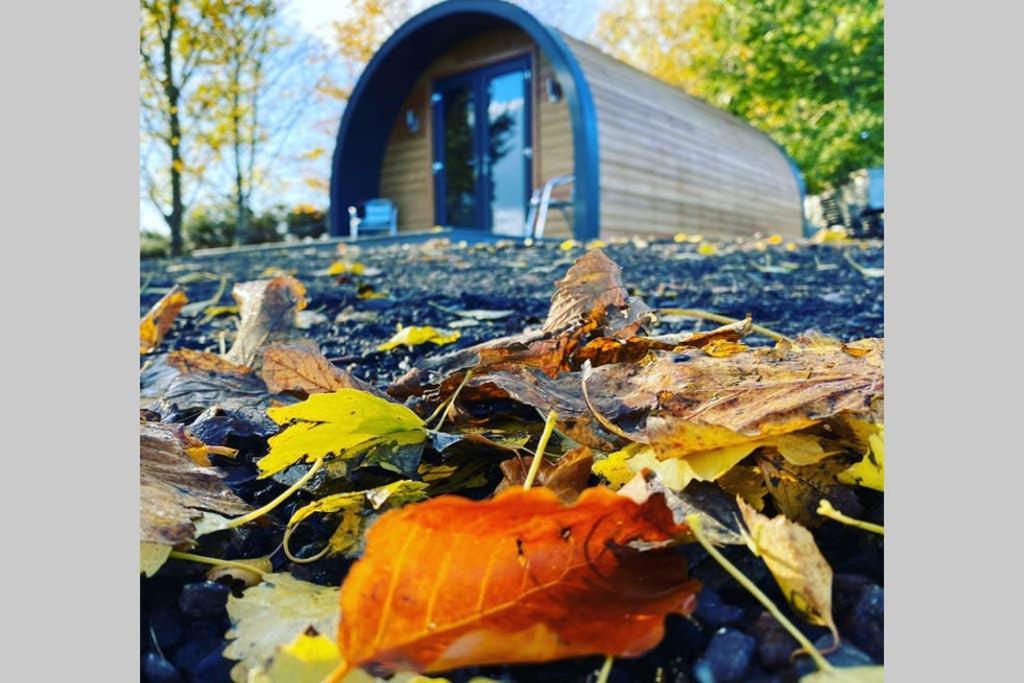 Glampods Glamping Pod - Meet Highland Cows And Sheep Elgin Villa Esterno foto